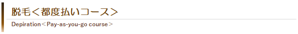 脱毛<都度払いコース>
