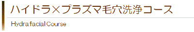 ハイドラ×プラズマ毛穴洗浄コース