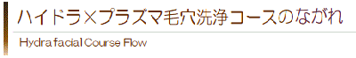 ハイドラ×プラズマ毛穴洗浄のながれ