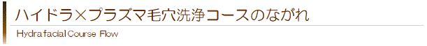ハイドラ×プラズマ毛穴洗浄コースのながれ