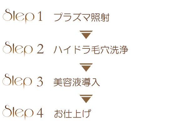 
Step1�@�v���Y�}�Ǝ�<br />
Step2�@�n�C�h���ь����<br />
Step3�@���e�t����<br />
Step4�@���d�グ